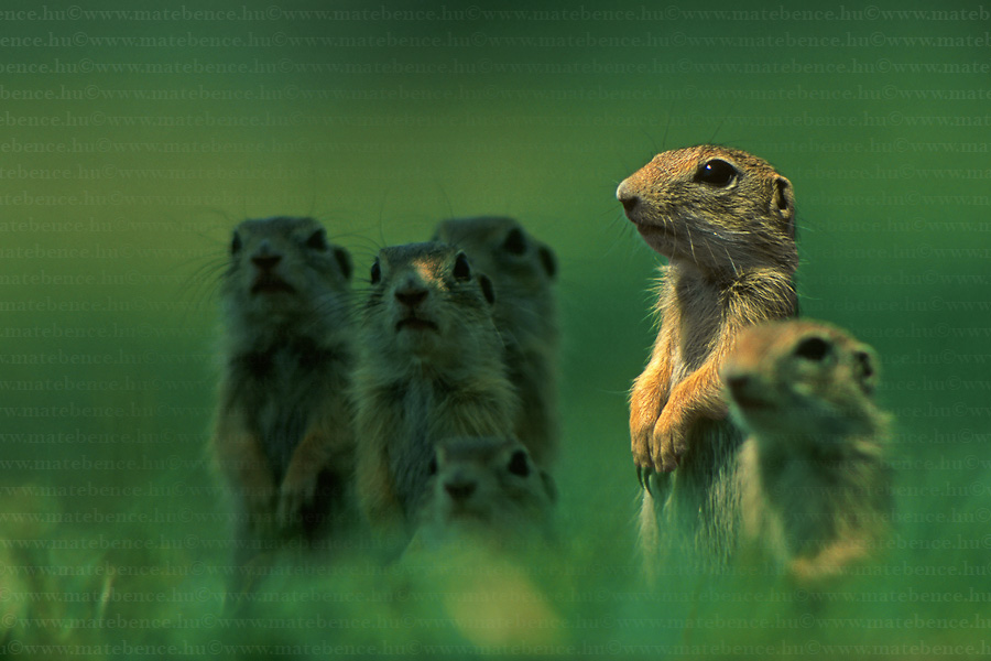 Click image for larger version

Name:	09c4be83c5f8496eb3c69fbdd124e957.jpg
Views:	1
Size:	142.0 KB
ID:	1307197