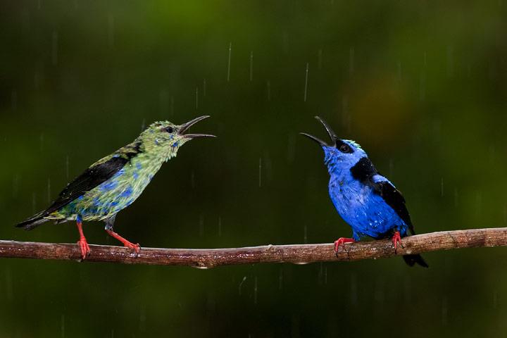 Click image for larger version

Name:	29b7991ef7c2bcd2d30f52c2f4bbe0b4.jpg
Views:	1
Size:	26.0 KB
ID:	1307221