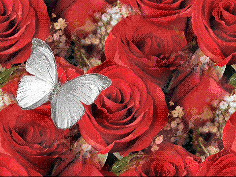 Click image for larger version

Name:	495401women.gif
Views:	1
Size:	71.4 KB
ID:	1307443