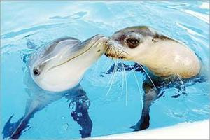 Click image for larger version

Name:	20120628-233817_h428336.jpg
Views:	1
Size:	12.2 KB
ID:	1370768