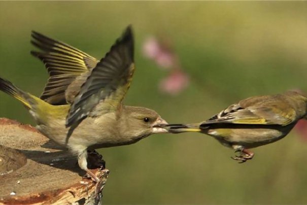 Click image for larger version

Name:	0c6fef43e8b2280cee961a42909f212a.jpg
Views:	1
Size:	33.1 KB
ID:	1370791