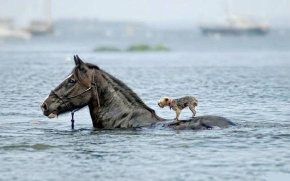 Click image for larger version

Name:	221.jpg
Views:	1
Size:	26.9 KB
ID:	1308705