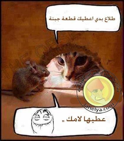 Click image for larger version

Name:	551616_319210461499307_1515302886_n.jpg
Views:	1
Size:	30.7 KB
ID:	1308732