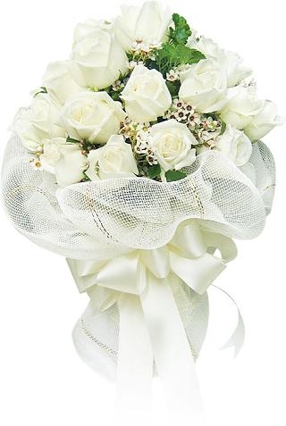 Click image for larger version

Name:	31604134712g2ddz3irhw.jpg
Views:	1
Size:	54.1 KB
ID:	1308808