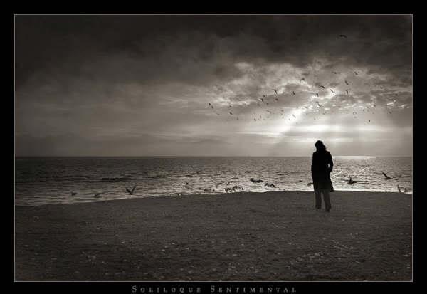 Click image for larger version

Name:	Iin99856.jpg
Views:	1
Size:	23.5 KB
ID:	1308958