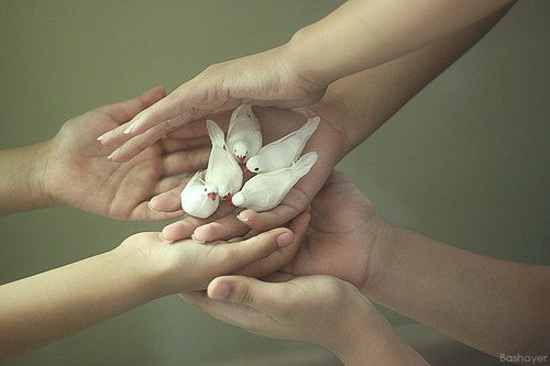 Click image for larger version

Name:	Iin99856.jpg
Views:	1
Size:	29.0 KB
ID:	1308959