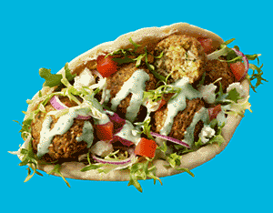 Click image for larger version

Name:	falafel.gif
Views:	1
Size:	22.9 KB
ID:	1309295