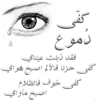 Click image for larger version

Name:	rOG55495.jpg
Views:	1
Size:	27.8 KB
ID:	1309376