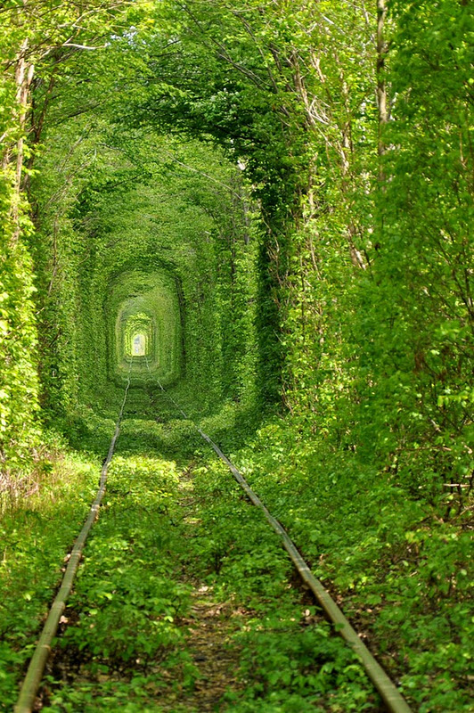 Click image for larger version

Name:	tunnel-of-love-13.jpg
Views:	1
Size:	246.6 KB
ID:	1373310