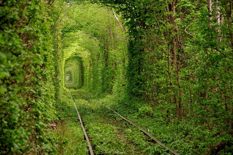 Click image for larger version

Name:	tunnel-of-love-22.jpg
Views:	1
Size:	220.2 KB
ID:	1373311