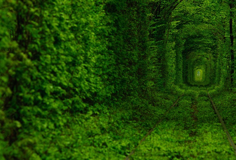 Click image for larger version

Name:	tunnel-of-love-32.jpg
Views:	1
Size:	142.5 KB
ID:	1373312