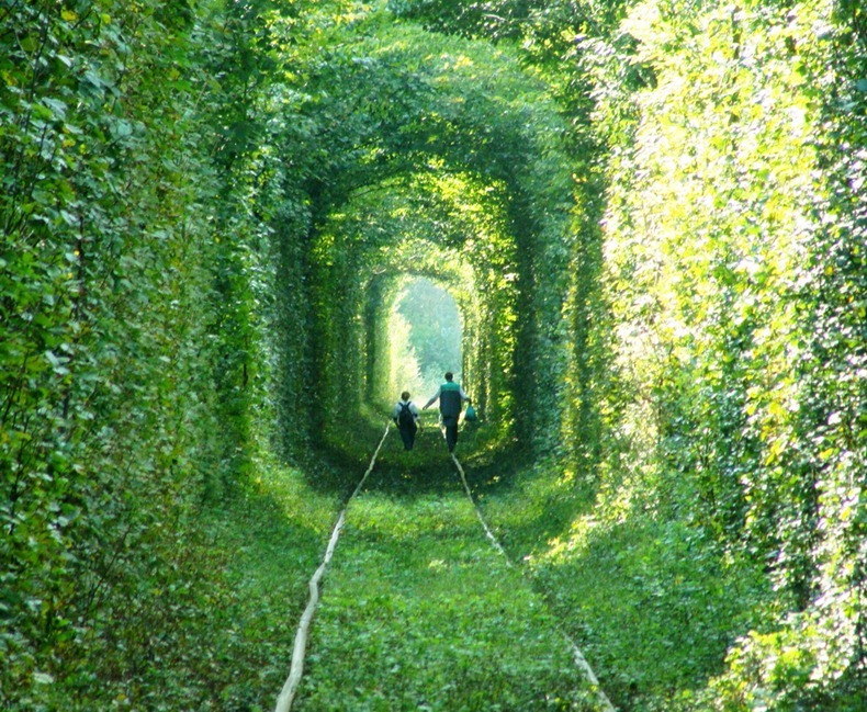 Click image for larger version

Name:	tunnel-of-love-43.jpg
Views:	1
Size:	268.6 KB
ID:	1373313