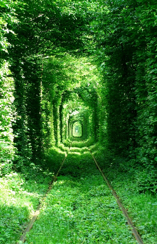 Click image for larger version

Name:	tunnel-of-love-54.jpg
Views:	1
Size:	248.9 KB
ID:	1373314