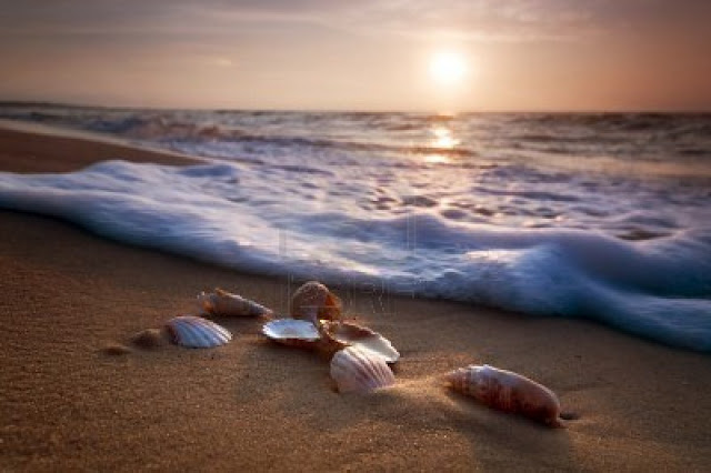 Click image for larger version

Name:	5.jpg
Views:	1
Size:	55.9 KB
ID:	1373753