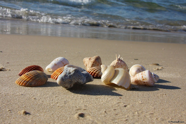 Click image for larger version

Name:	6.jpg
Views:	1
Size:	90.4 KB
ID:	1373754