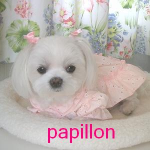 Click image for larger version

Name:	n2hrcom-579bfda518.jpg
Views:	1
Size:	15.1 KB
ID:	1375213