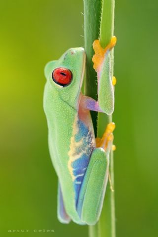 Click image for larger version

Name:	1.jpg
Views:	1
Size:	15.5 KB
ID:	1376567