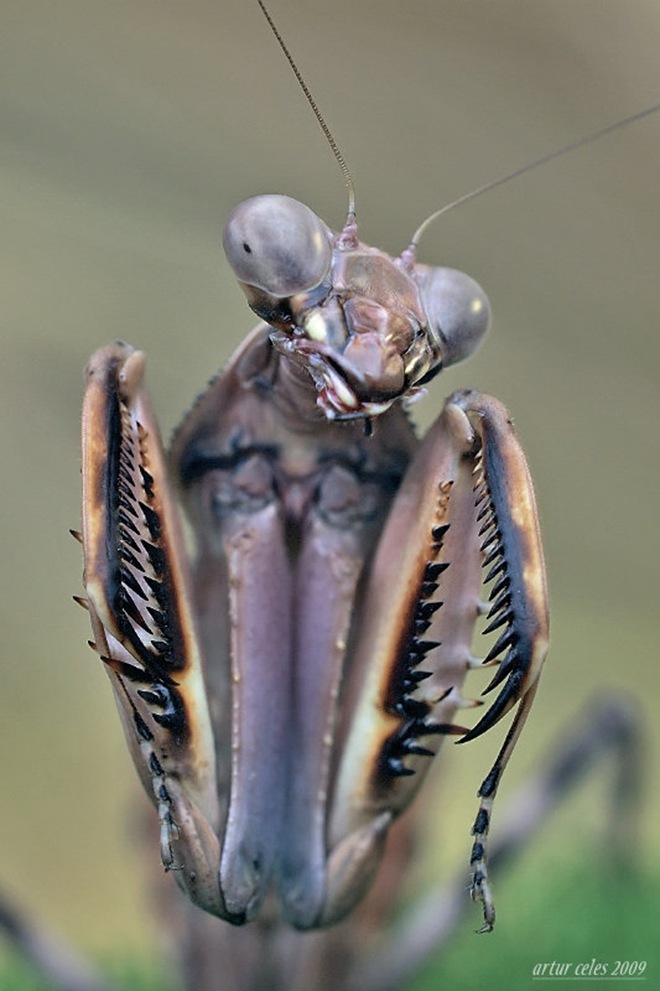 Click image for larger version

Name:	5.jpg
Views:	1
Size:	118.8 KB
ID:	1376571