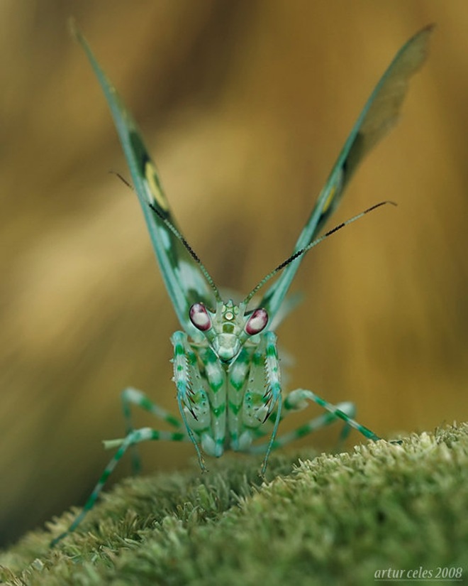 Click image for larger version

Name:	6.jpg
Views:	1
Size:	85.9 KB
ID:	1376572