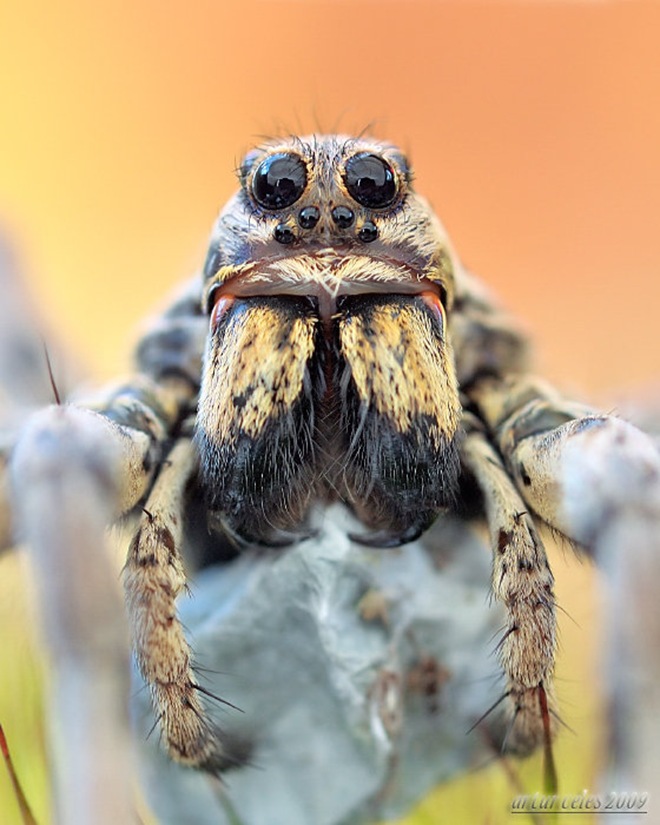 Click image for larger version

Name:	7.jpg
Views:	1
Size:	122.0 KB
ID:	1376573