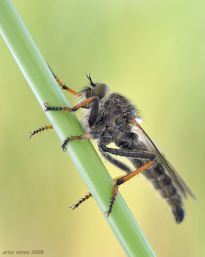 Click image for larger version

Name:	8.jpg
Views:	1
Size:	91.6 KB
ID:	1376574