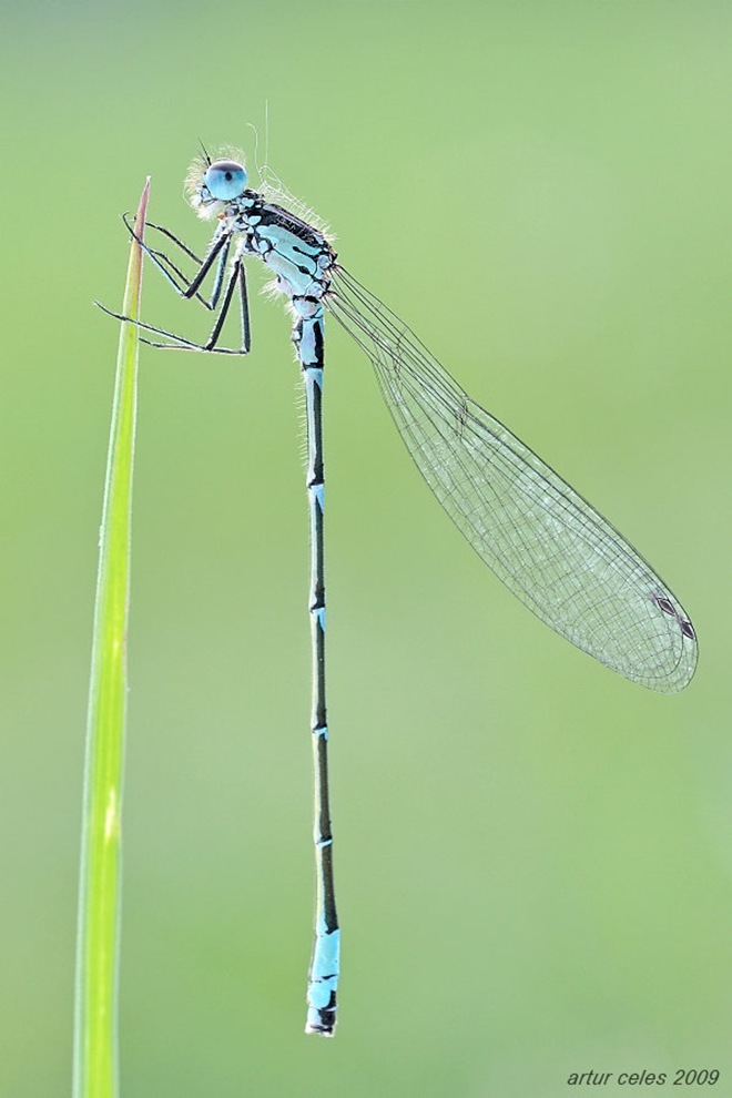 Click image for larger version

Name:	10.jpg
Views:	1
Size:	92.6 KB
ID:	1376576