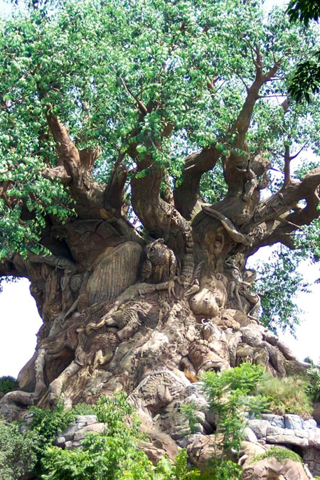 Click image for larger version

Name:	8.jpg
Views:	1
Size:	262.1 KB
ID:	1376803