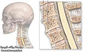 Click image for larger version

Name:	1.jpg
Views:	1
Size:	9.7 KB
ID:	1376872