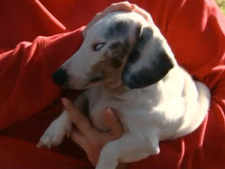 Click image for larger version

Name:	1.jpg
Views:	1
Size:	15.4 KB
ID:	1378773