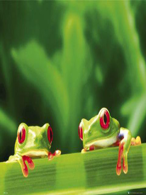 Click image for larger version

Name:	212.jpg
Views:	1
Size:	68.5 KB
ID:	1319506